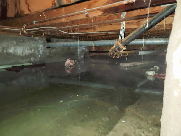 Professional Water damage restoration in Franklin Square, NY