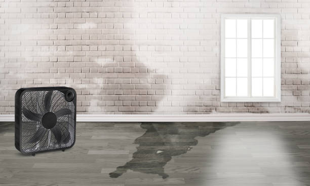 Best Basement water damage restoration  in Franklin Square, NY