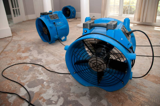 Best Fire Damage Restoration  in Franklin Square, NY