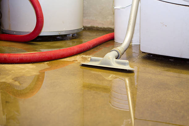 Best Fire Damage Restoration  in Franklin Square, NY