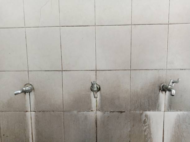 Best Flood restoration services  in Franklin Square, NY