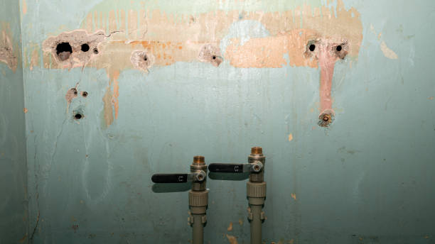 Best Flooded house restoration  in Franklin Square, NY