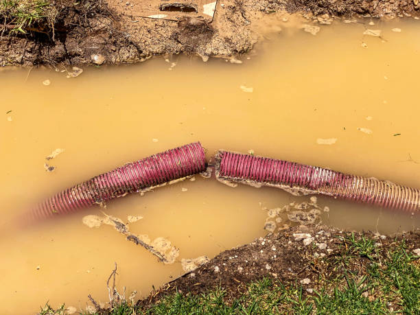 Water damage restoration insurance claims in Franklin Square, NY